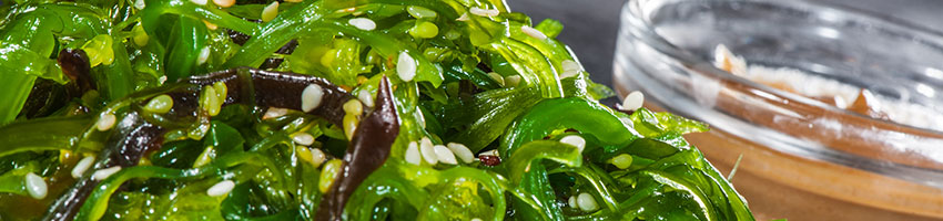 Salades